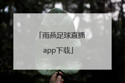 「雨燕足球直播app下载」雨燕足球APP下载