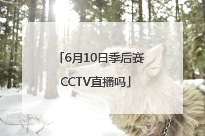 6月10日季后赛CCTV直播吗
