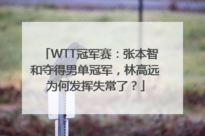 WTT冠军赛：张本智和夺得男单冠军，林高远为何发挥失常了？