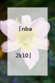 「nba 2k10」nba2k10键盘怎么操作